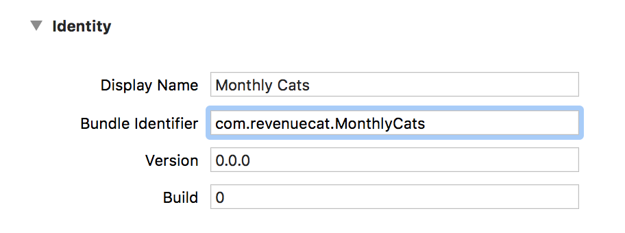 Screenshot of UI in Xcode for updating bundle id
